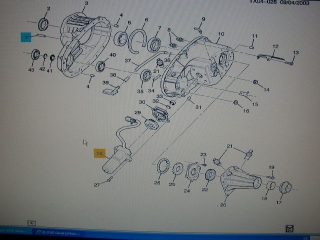 Stellmotor  Allradzuschaltung - Actuator Transfer  Trailblazer  02-09